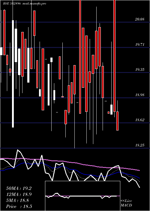  Daily chart MagnumVent