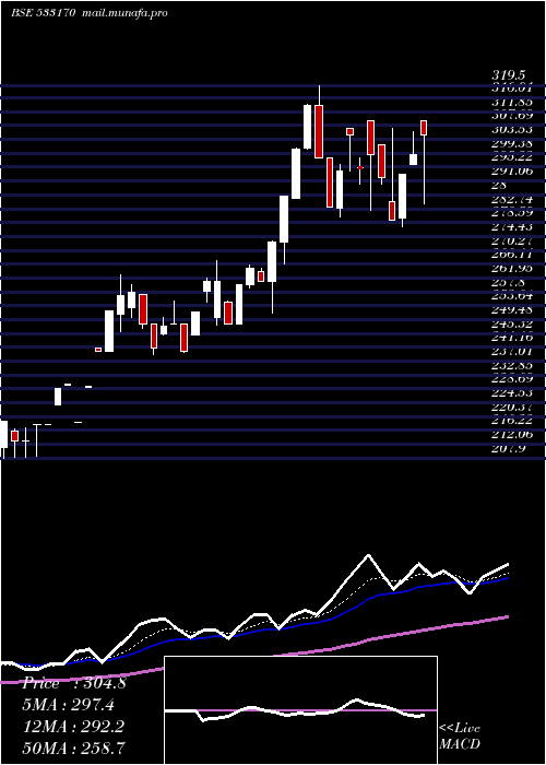  Daily chart TamboliCap