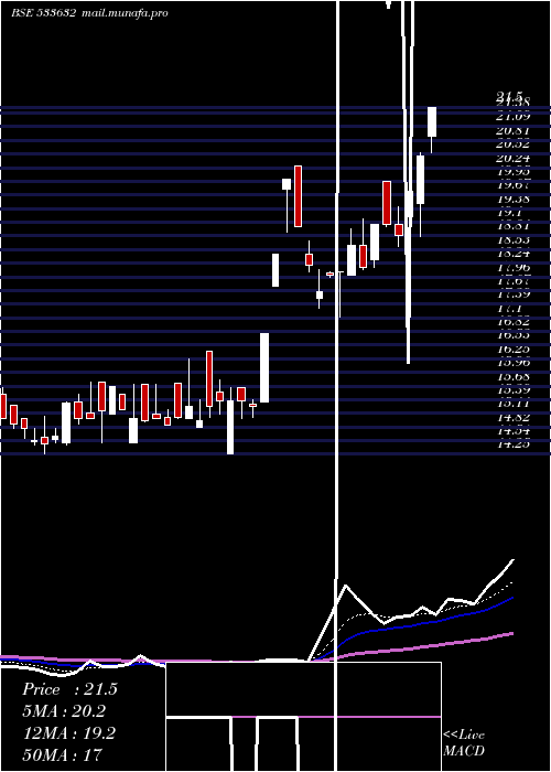  Daily chart OnelifeCap