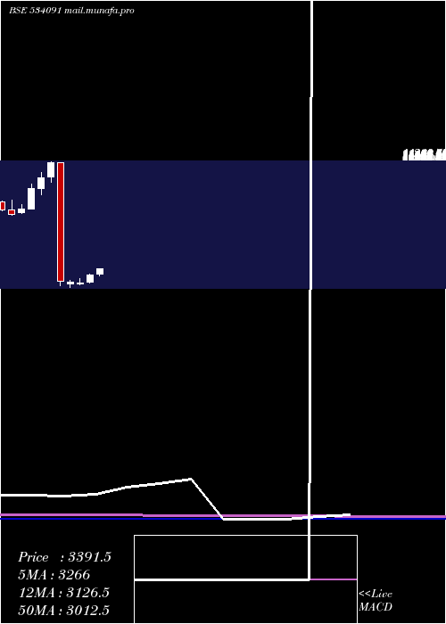  monthly chart Mcx