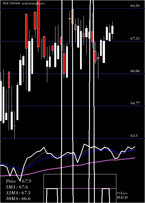  Daily chart M100