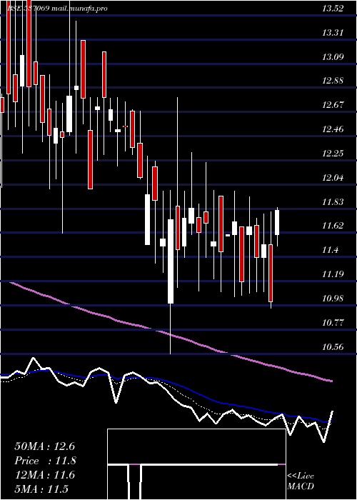 Daily chart ArnoldHold