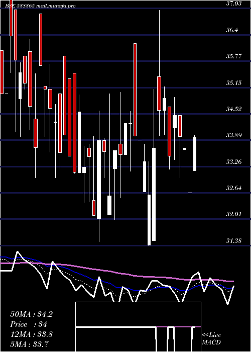  Daily chart Adhunikind