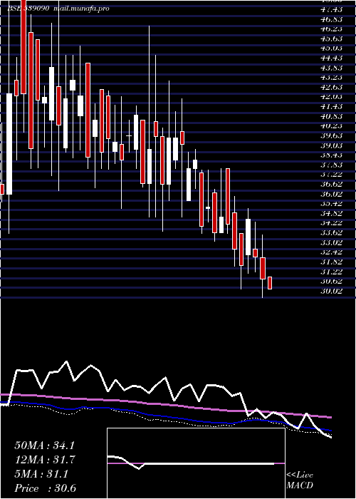  weekly chart Rajputana