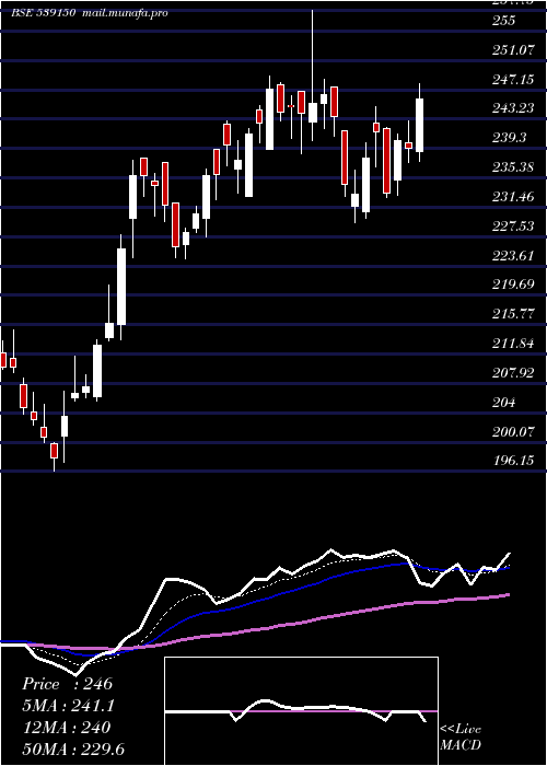  Daily chart Pncinfra