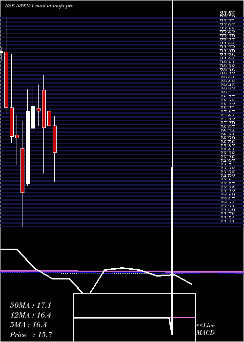  monthly chart Balkrishna
