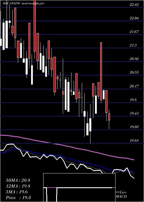  Daily chart Bindalagro