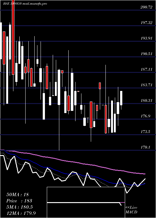  Daily chart Salauto