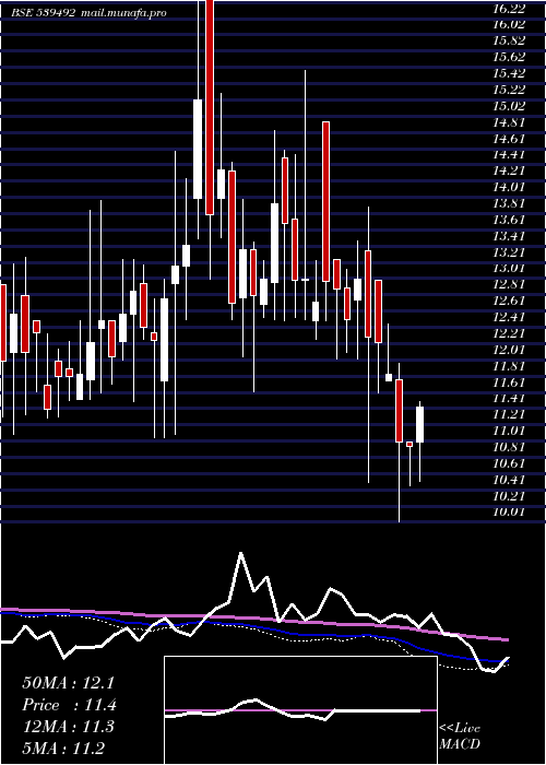  weekly chart Garbifin