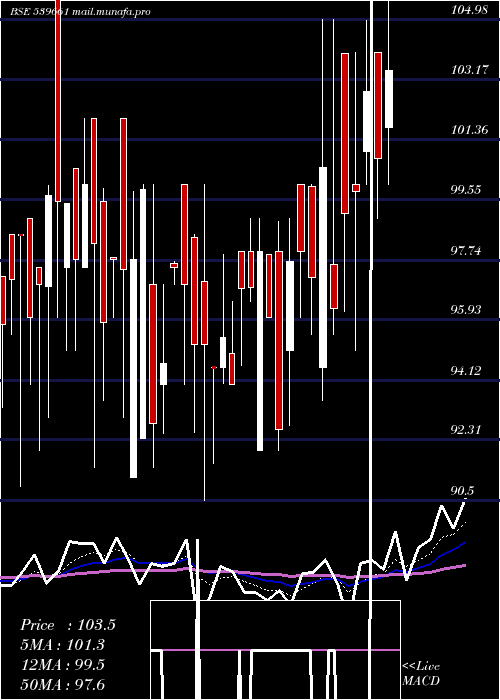  Daily chart Acemen