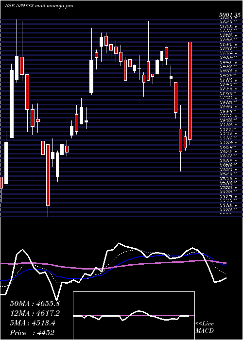  Daily chart Pilaniinvs