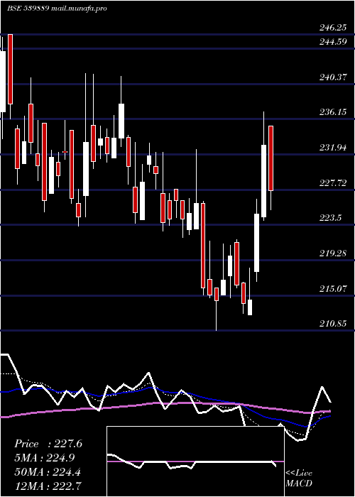  Daily chart Paragmilk