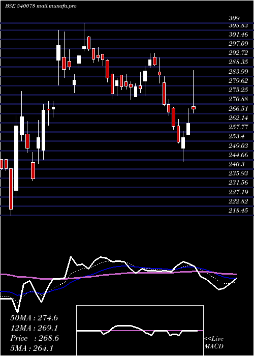 Daily chart Bls