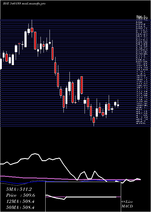  weekly chart Icicipruli