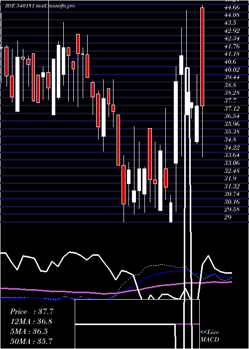  weekly chart Salem