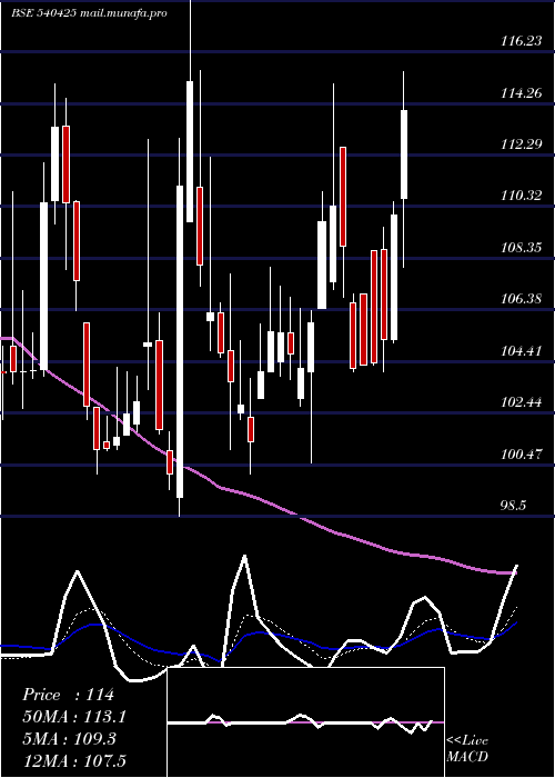  Daily chart Shankara