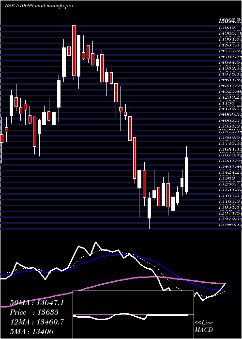  Daily chart Dixon