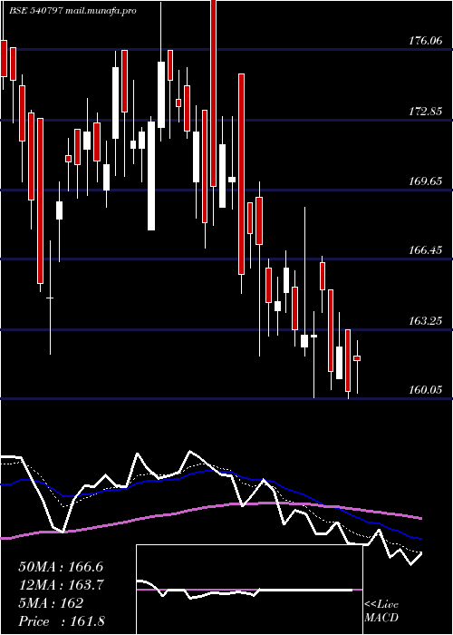  Daily chart Shalby