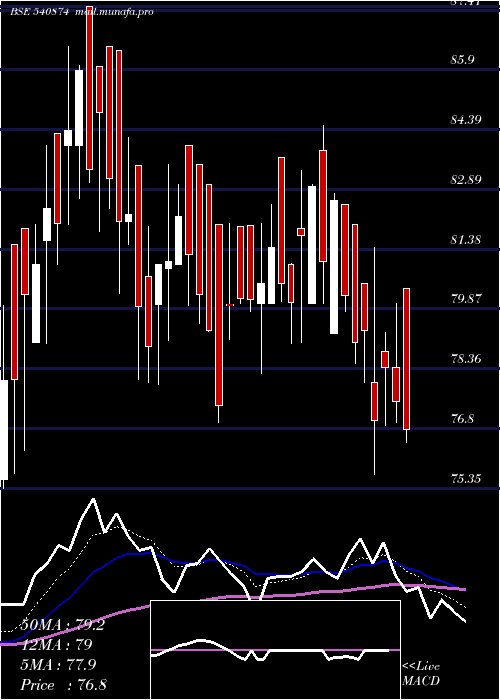  Daily chart 7seas