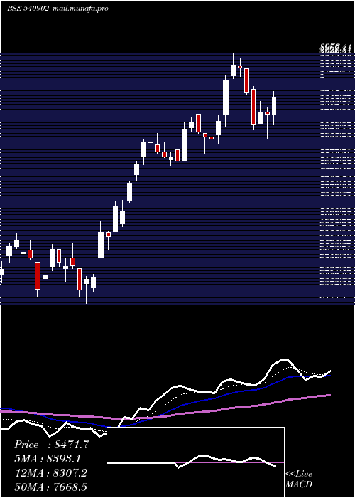  Daily chart Amber