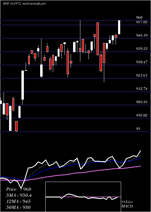  Daily chart Setfsn50