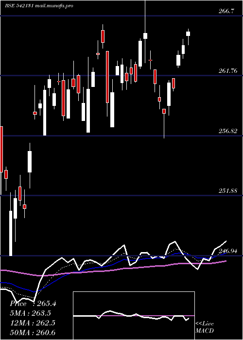  Daily chart Man50etf