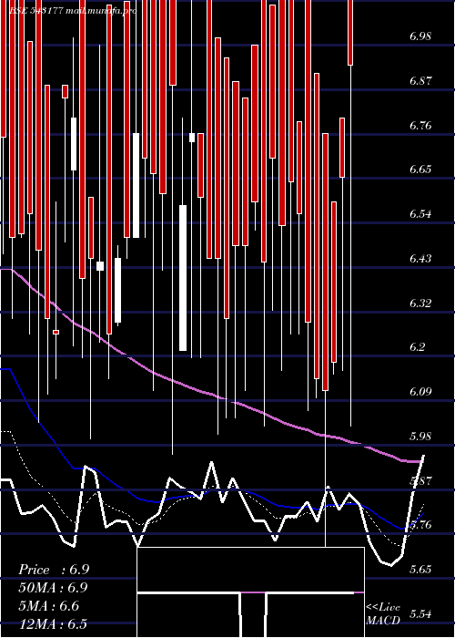 Daily chart 11qpd