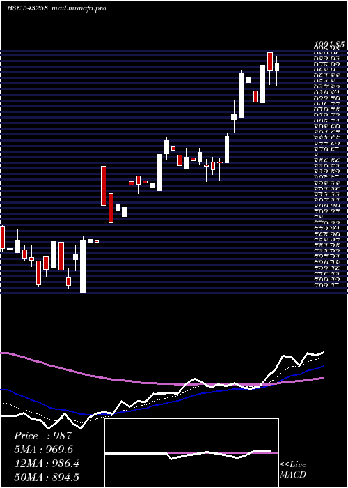  Daily chart Indigopnts