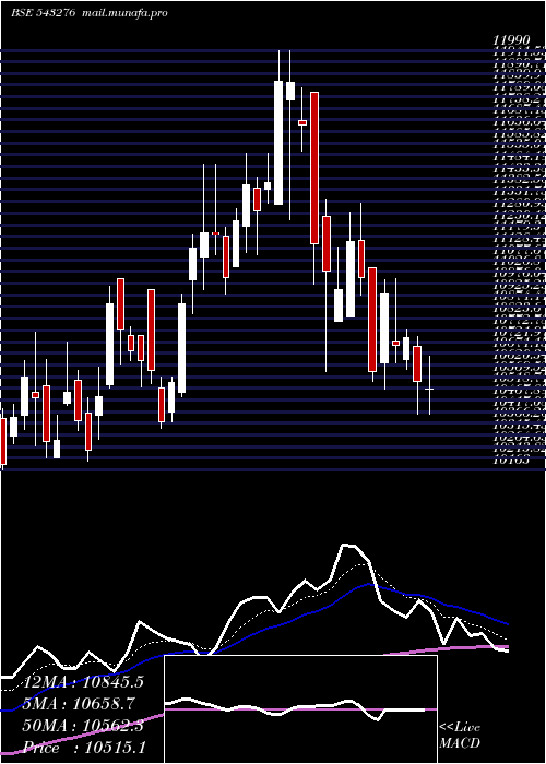  Daily chart Craftsman
