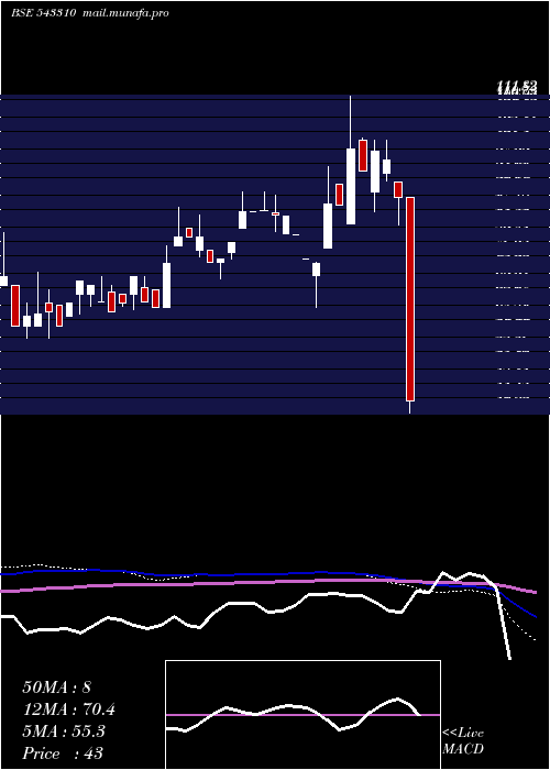  monthly chart Timesgreen