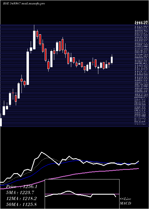  Daily chart Paras