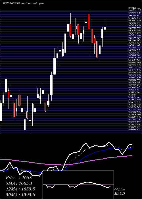  Daily chart Policybzr