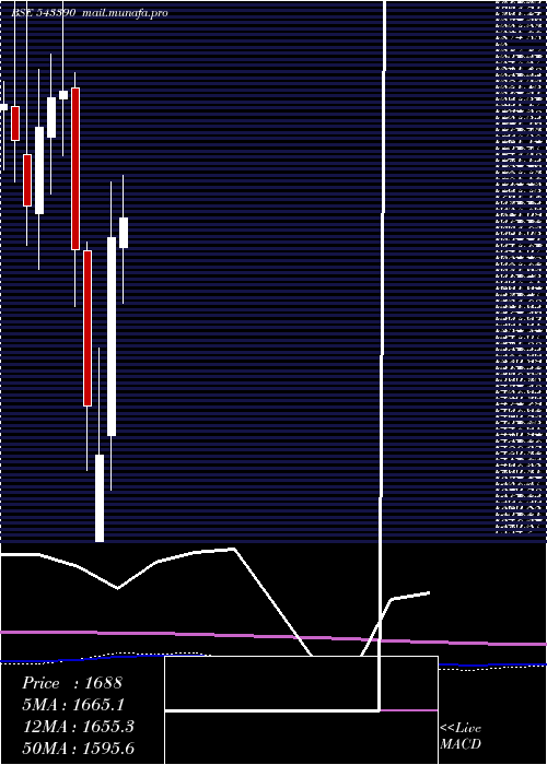  monthly chart Policybzr