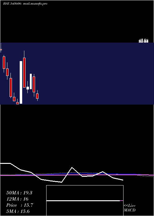  monthly chart Containe