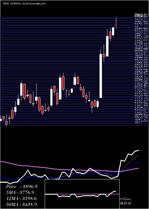  Daily chart Kaynes