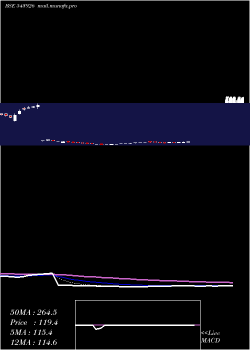  Daily chart Bizotic