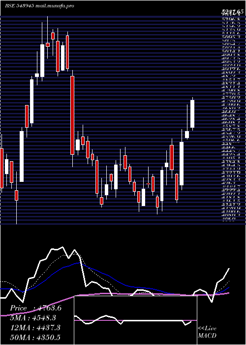 Daily chart Netweb