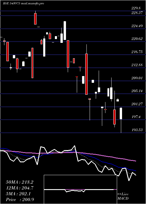  Daily chart Nifmid150