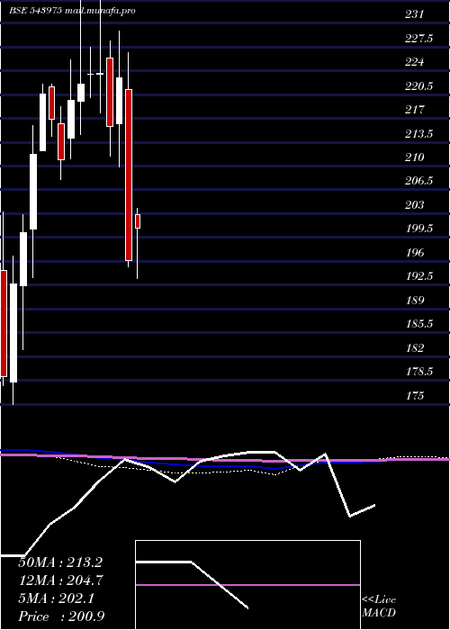  monthly chart Nifmid150