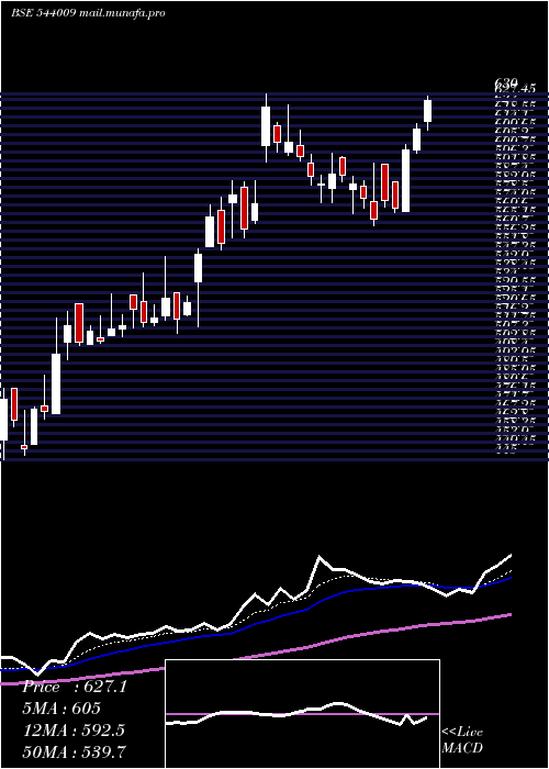  Daily chart Bluejet