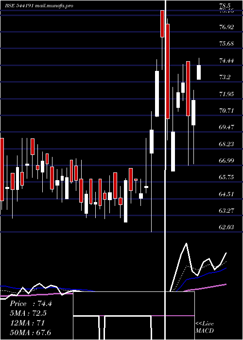  Daily chart Purplefin
