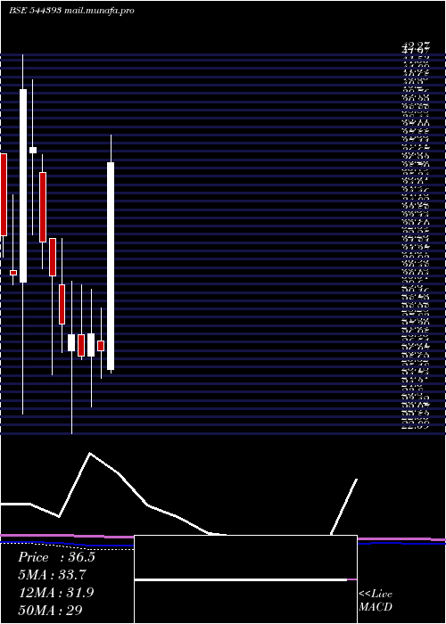  monthly chart InfonativeSolutions