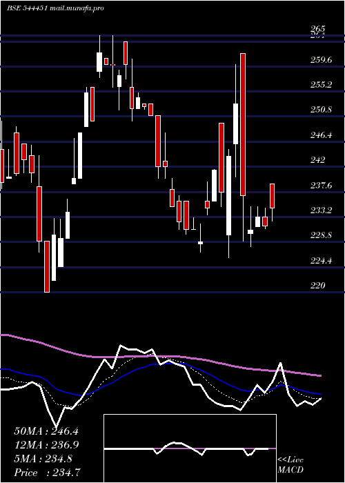  Daily chart MonikaAlcobev