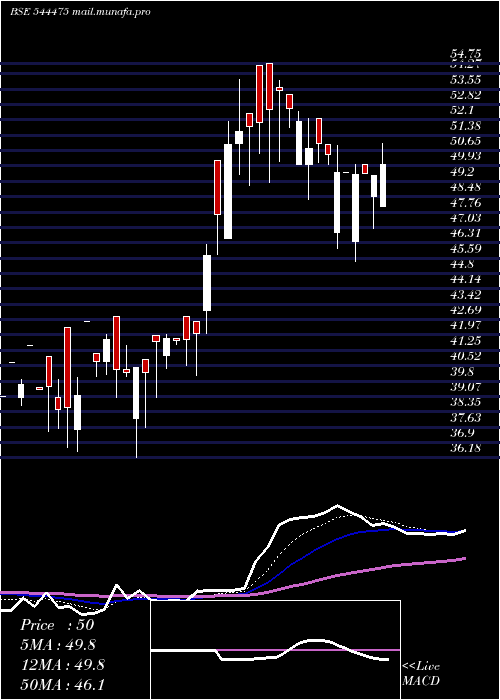  Daily chart EssexMarine