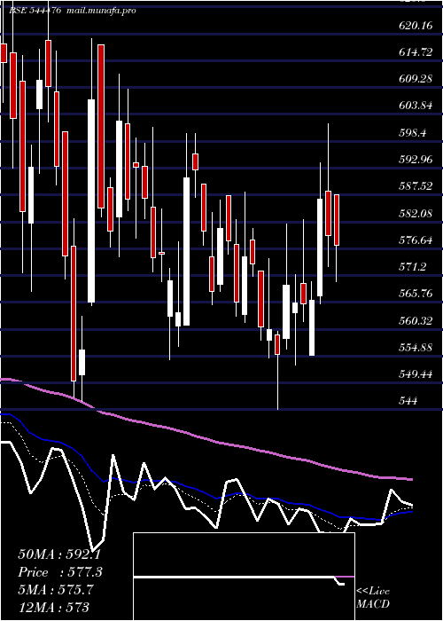  Daily chart JeenaSikho