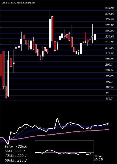  Daily chart PatelRetail