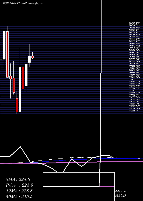  monthly chart PatelRetail