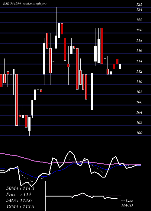  Daily chart GameChangers