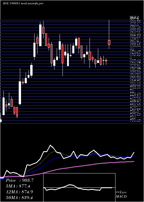  Daily chart DeNora