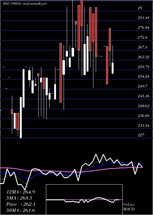  Daily chart SalonaCotsp